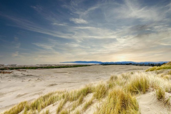 Upscale Exclusive image 28